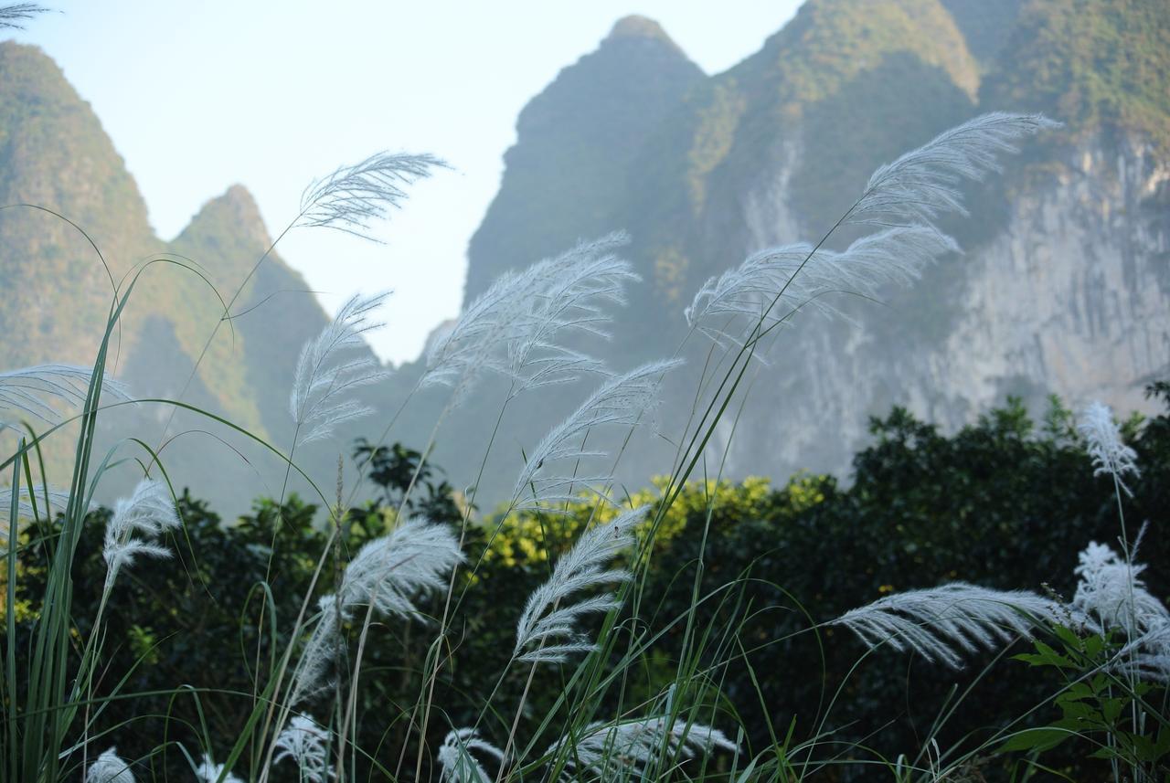 Nirvana Organic Farm Inn Yangshuo Eksteriør billede
