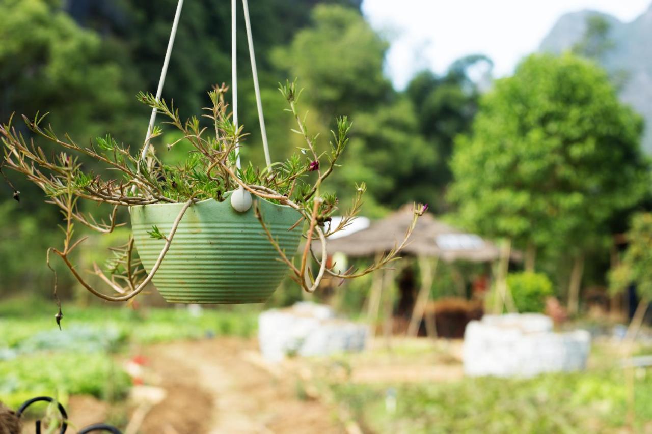 Nirvana Organic Farm Inn Yangshuo Eksteriør billede