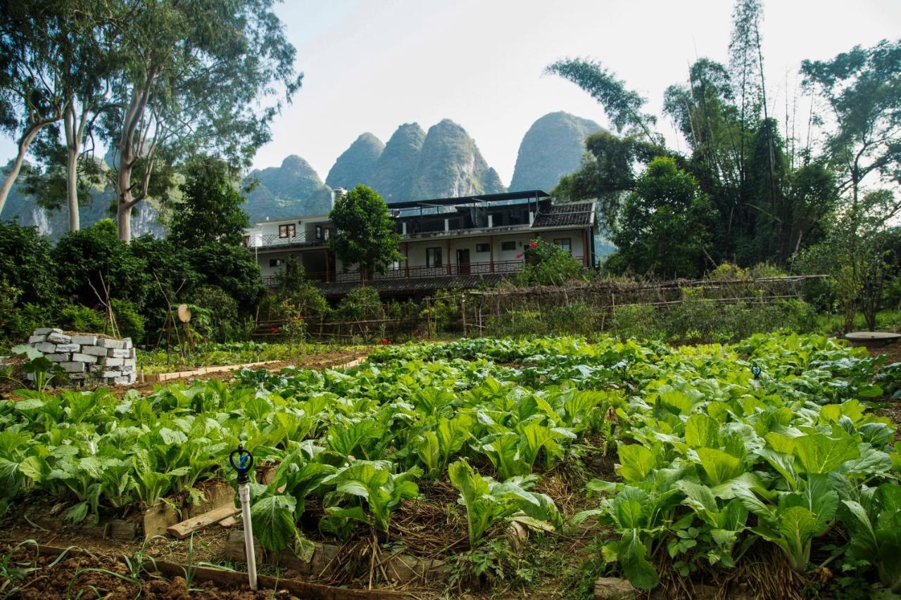 Nirvana Organic Farm Inn Yangshuo Eksteriør billede