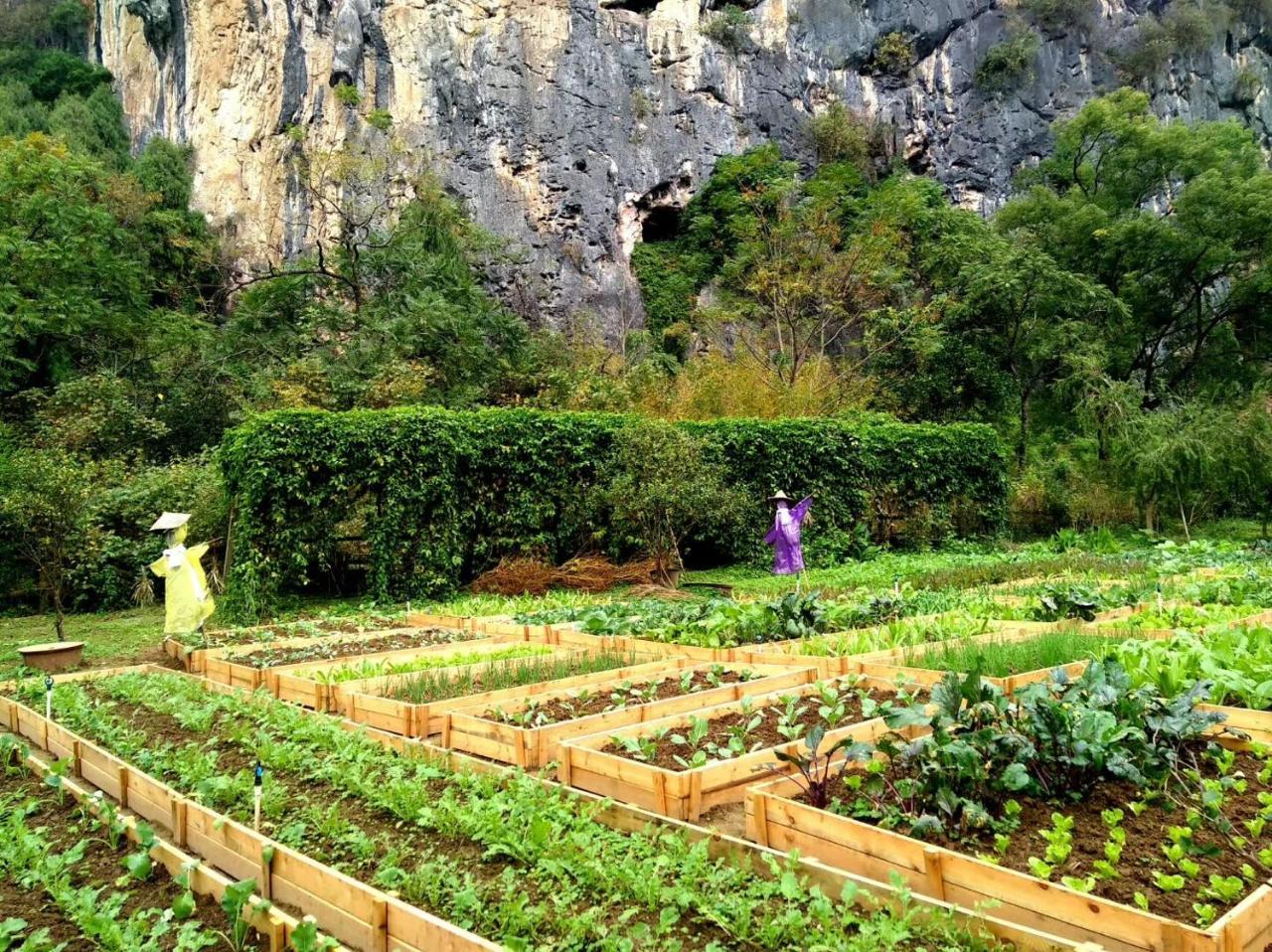 Nirvana Organic Farm Inn Yangshuo Eksteriør billede